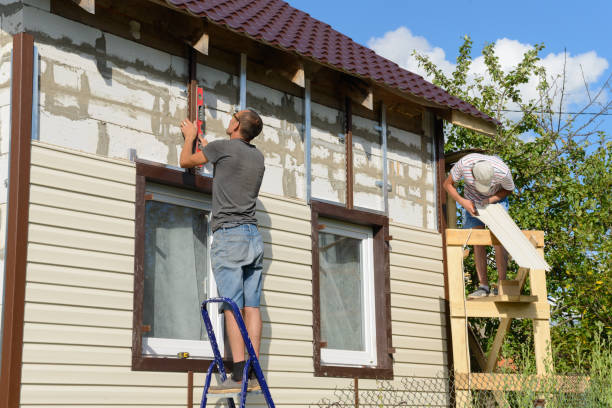 Best Brick Veneer Siding  in South Padre Island, TX