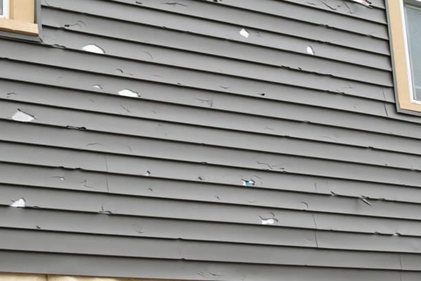 Best Siding Removal and Disposal  in South Padre Island, TX